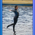 Marineland - Dauphins - Spectacle 17h45 - 0693