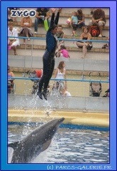 Marineland - Dauphins - Spectacle 17h45 - 0694