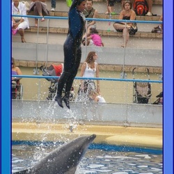 Marineland - Dauphins - Spectacle 17h45