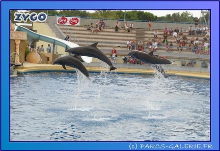 Marineland - Dauphins - Spectacle 17h45 - 0699