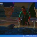 Marineland - Dauphins - Spectacle Nocturne - 0722