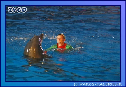 Marineland - Dauphins - Spectacle Nocturne - 0725