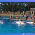Marineland - Dauphins - Spectacle Nocturne - 0727