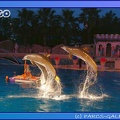 Marineland - Dauphins - Spectacle Nocturne - 0732