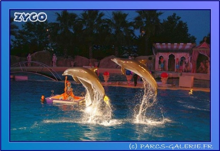 Marineland - Dauphins - Spectacle Nocturne - 0732