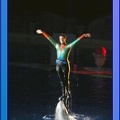 Marineland - Dauphins - Spectacle Nocturne - 0741