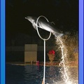 Marineland - Dauphins - Spectacle Nocturne - 0742