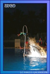 Marineland - Dauphins - Spectacle Nocturne - 0743