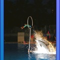 Marineland - Dauphins - Spectacle Nocturne - 0743