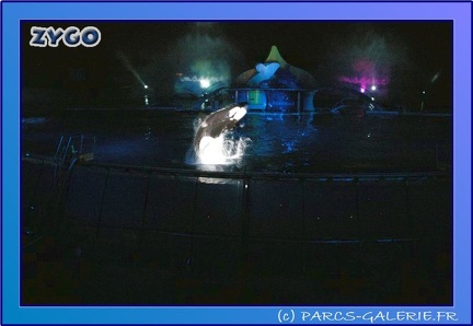 Marineland - Orques - Spectacle Imagine - 0750