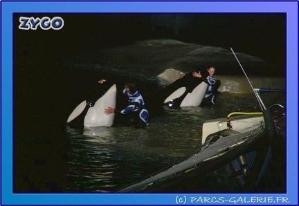 Marineland - Orques - Spectacle Imagine - 0783