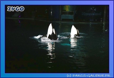 Marineland - Orques - Spectacle Imagine - 0785