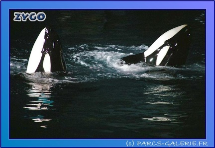 Marineland - Orques - Spectacle Imagine - 0786