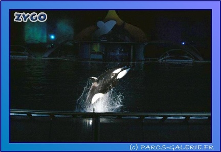 Marineland - Orques - Spectacle Imagine - 0789