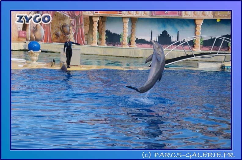 Marineland - Dauphins - Spectacle 17h45 - 0841