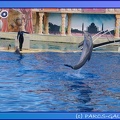 Marineland - Dauphins - Spectacle 17h45 - 0841