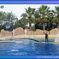 Marineland - Dauphins - Spectacle 17h45 - 0842