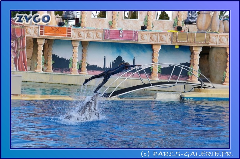 Marineland - Dauphins - Spectacle 17h45 - 0844