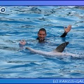 Marineland - Dauphins - Spectacle 17h45 - 0847