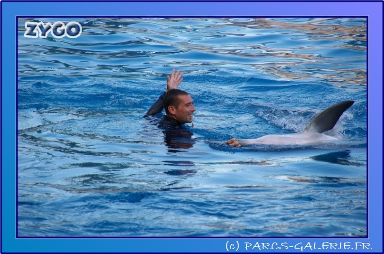 Marineland - Dauphins - Spectacle 17h45 - 0848