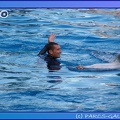 Marineland - Dauphins - Spectacle 17h45 - 0848