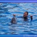 Marineland - Dauphins - Spectacle 17h45 - 0850