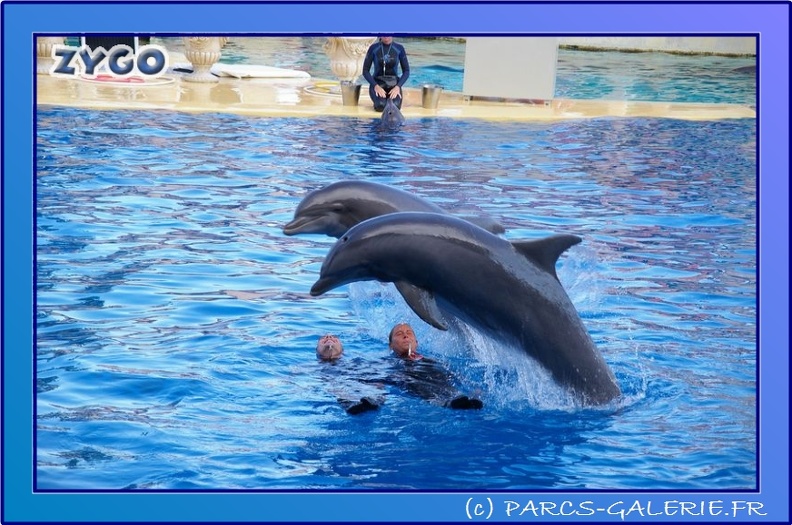 Marineland - Dauphins - Spectacle 17h45 - 0851
