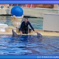 Marineland - Dauphins - Spectacle 17h45 - 0852