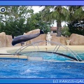 Marineland - Dauphins - Spectacle 17h45 - 0854