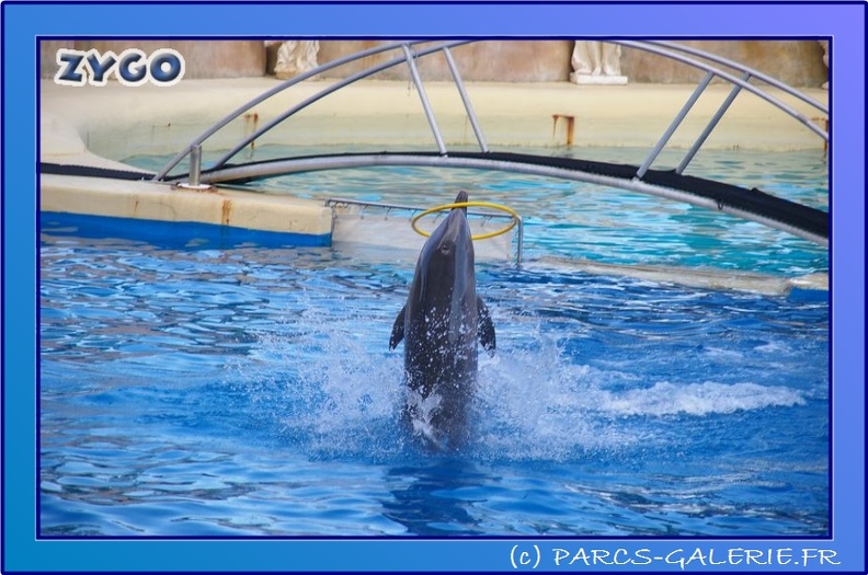 Marineland - Dauphins - Spectacle 17h45 - 0855