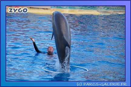 Marineland - Dauphins - Spectacle 17h45 - 0857
