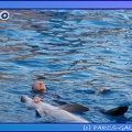Marineland - Dauphins - Spectacle 17h45 - 0859