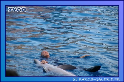 Marineland - Dauphins - Spectacle 17h45 - 0859
