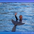 Marineland - Dauphins - Spectacle 17h45 - 0860