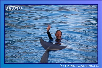Marineland - Dauphins - Spectacle 17h45 - 0860