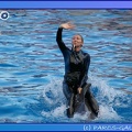 Marineland - Dauphins - Spectacle 17h45 - 0863