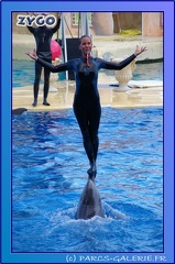 Marineland - Dauphins - Spectacle 17h45 - 0865