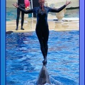 Marineland - Dauphins - Spectacle 17h45 - 0865