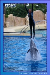 Marineland - Dauphins - Spectacle 17h45 - 0867