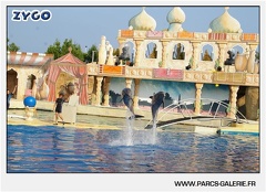 Marineland - Dauphins - Spectacle - 17h45 - 1032