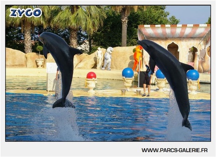 Marineland - Dauphins - Spectacle - 17h45 - 1033