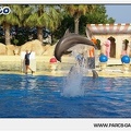 Marineland - Dauphins - Spectacle - 17h45 - 1034