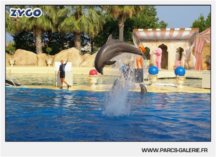 Marineland - Dauphins - Spectacle - 17h45 - 1034