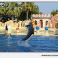 Marineland - Dauphins - Spectacle - 17h45 - 1035