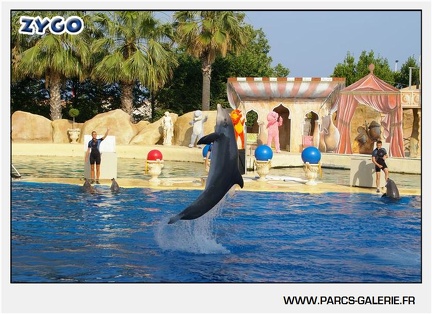 Marineland - Dauphins - Spectacle - 17h45 - 1035