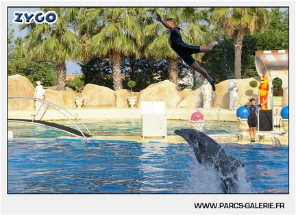 Marineland - Dauphins - Spectacle - 17h45 - 1036