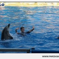 Marineland - Dauphins - Spectacle - 17h45 - 1041