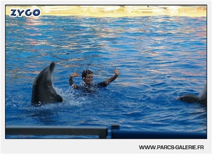 Marineland - Dauphins - Spectacle - 17h45 - 1041