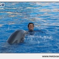 Marineland - Dauphins - Spectacle - 17h45 - 1042