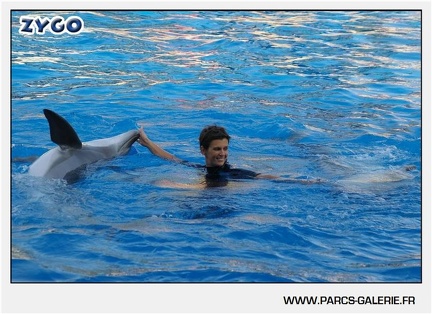 Marineland - Dauphins - Spectacle - 17h45 - 1043